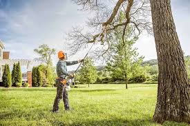 West Grove, PA Tree Services Company